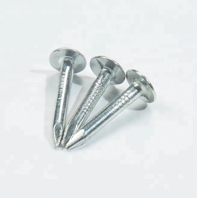 Hot Sale Different Size White Zinc Clout Nail for Building