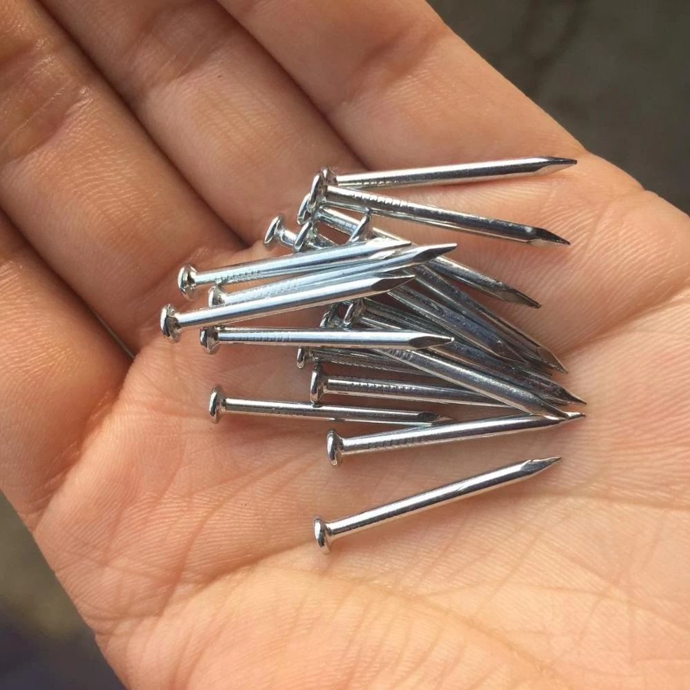 Barbed Shank U Fence Nails/Smooth Shank/U Shape Nail/U Type Nail/SOD Staple/Poultry Staple/Nails