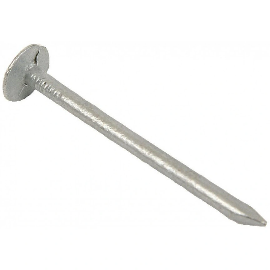 Factory 75mm Galvanised Clout Nail