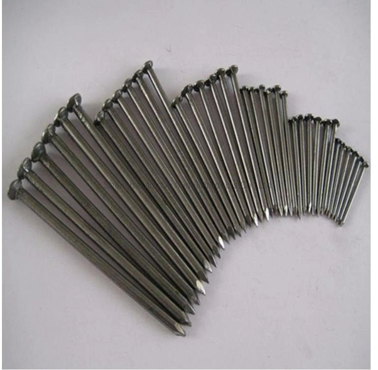 Hot Dipped Galvanized Flat Head Common Nails Iron Large Electro Galvanized Iron Spike Wire Steel Nails