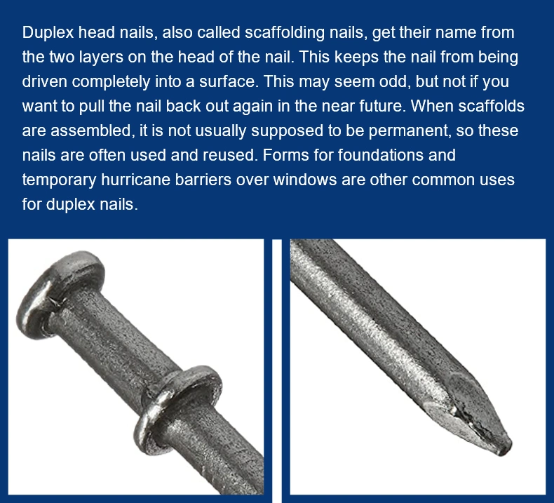 China Factory Galvanized Duplex/Double Head Iron Nail