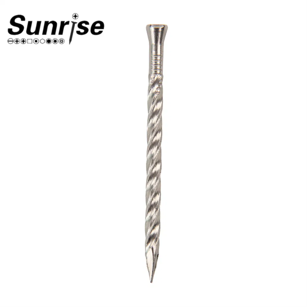 Stainless Steel Loose Nails Screw