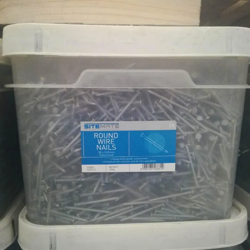 1.5&quot; White Zinc Common Wire Nails for 25kg Carton