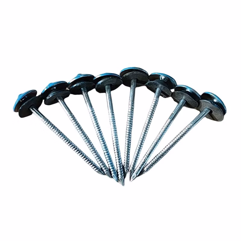 Corrugated Nails Umbrella Cap Nails Corrugated Nails with Cap Nails Corrugated Nails Color Steel Nails Corrugated Nails Big Head Umbrella Cap Corrugated Nails