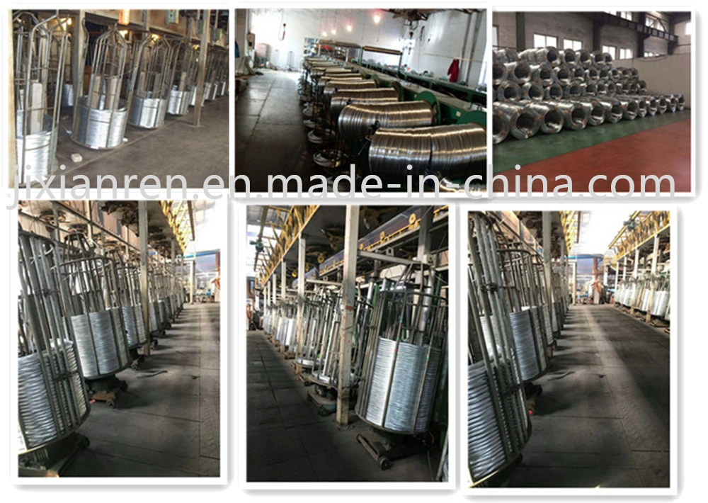 Common Nail/Building Nail/Wire Nail/Construction Nail/Iron Nail/Steel Nail