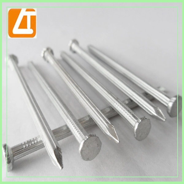 Electro Galvanized Twisted Shank Concrete Nails