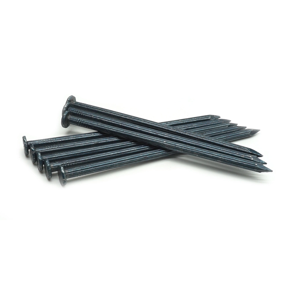 Galvanized Twisted Shank Concrete Nails with High Quality