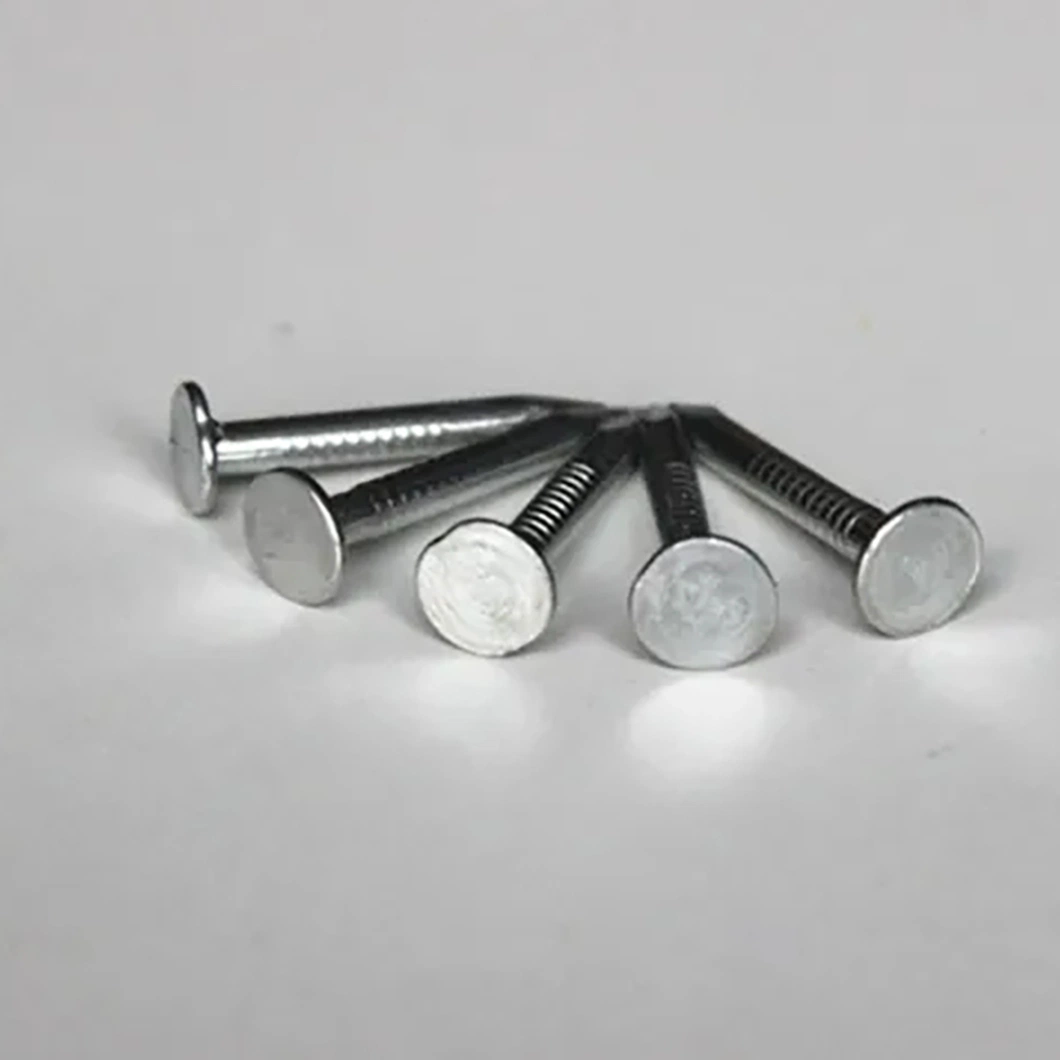 Waterproof Roof/Electric Galvanized/Round Head/Ring Diamond Tip/Linoleum Nails