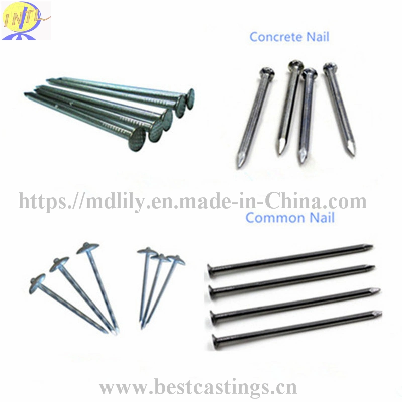 High Quality Galvanized Steel Concrete Nails