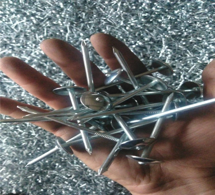 6-13 Bwg Galvanized Steel Umbrella Head Roofing Nails