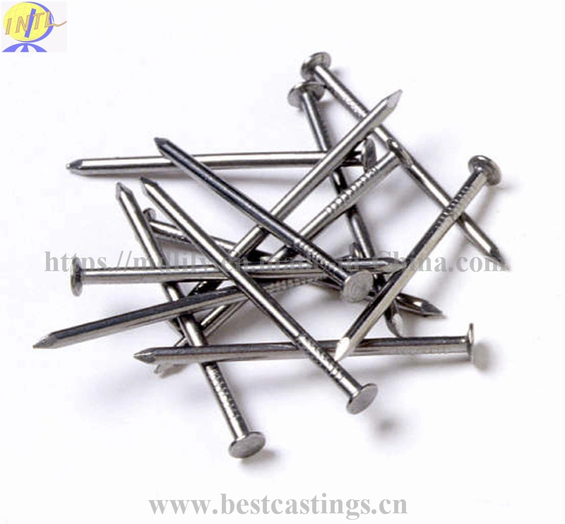 High Quality Galvanized Steel Concrete Nails