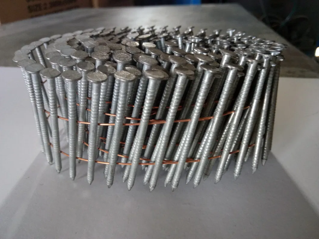 Galvanized Coil Nail with Twisted Shank for Making Pallets