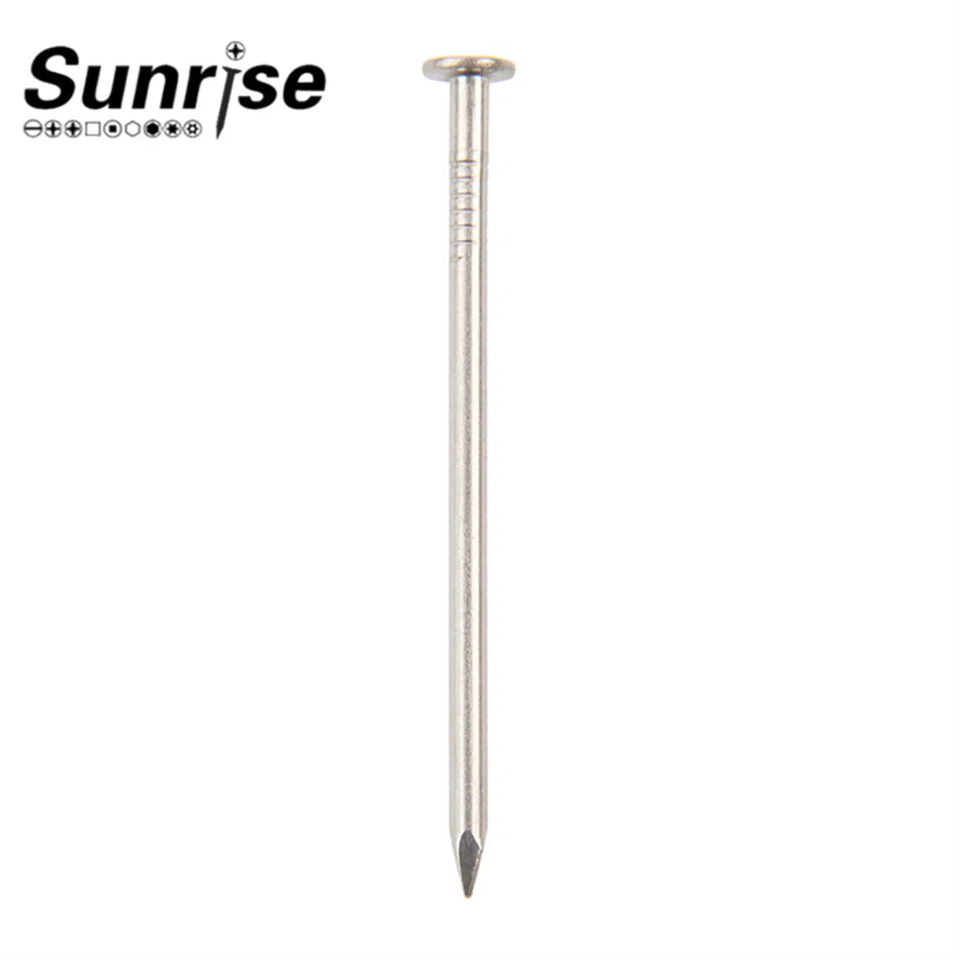 Stainless Steel Loose Nails Screw