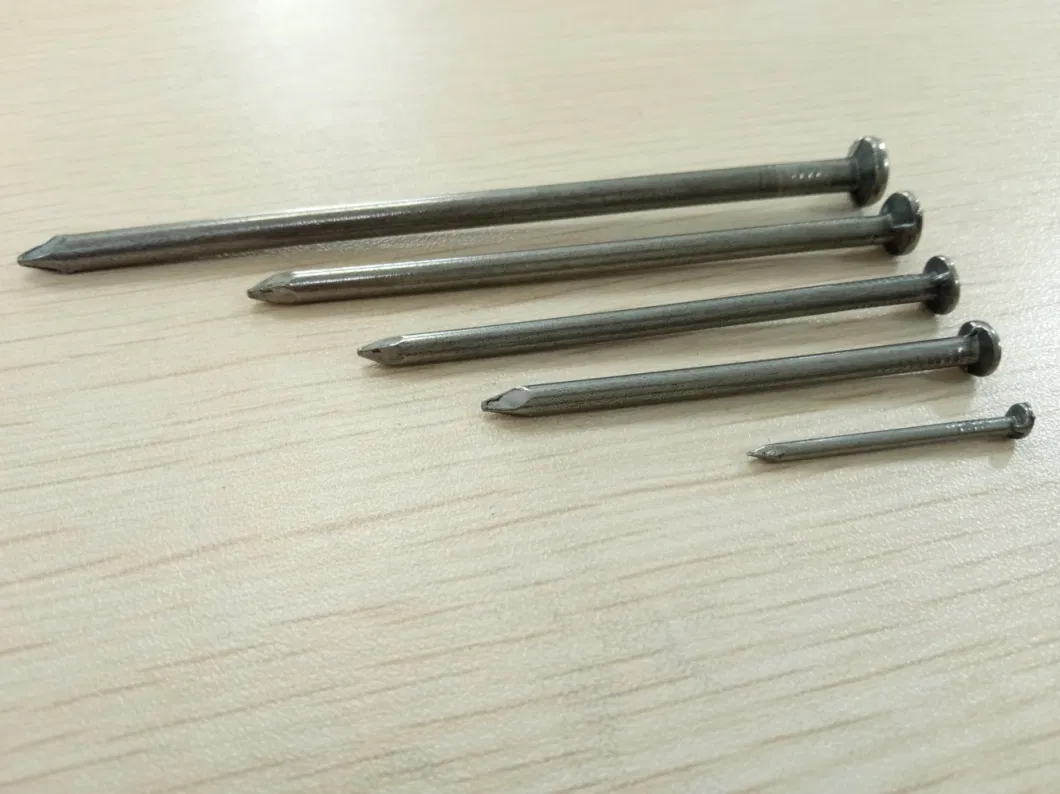 Common Round Iron Wire Nails Factory