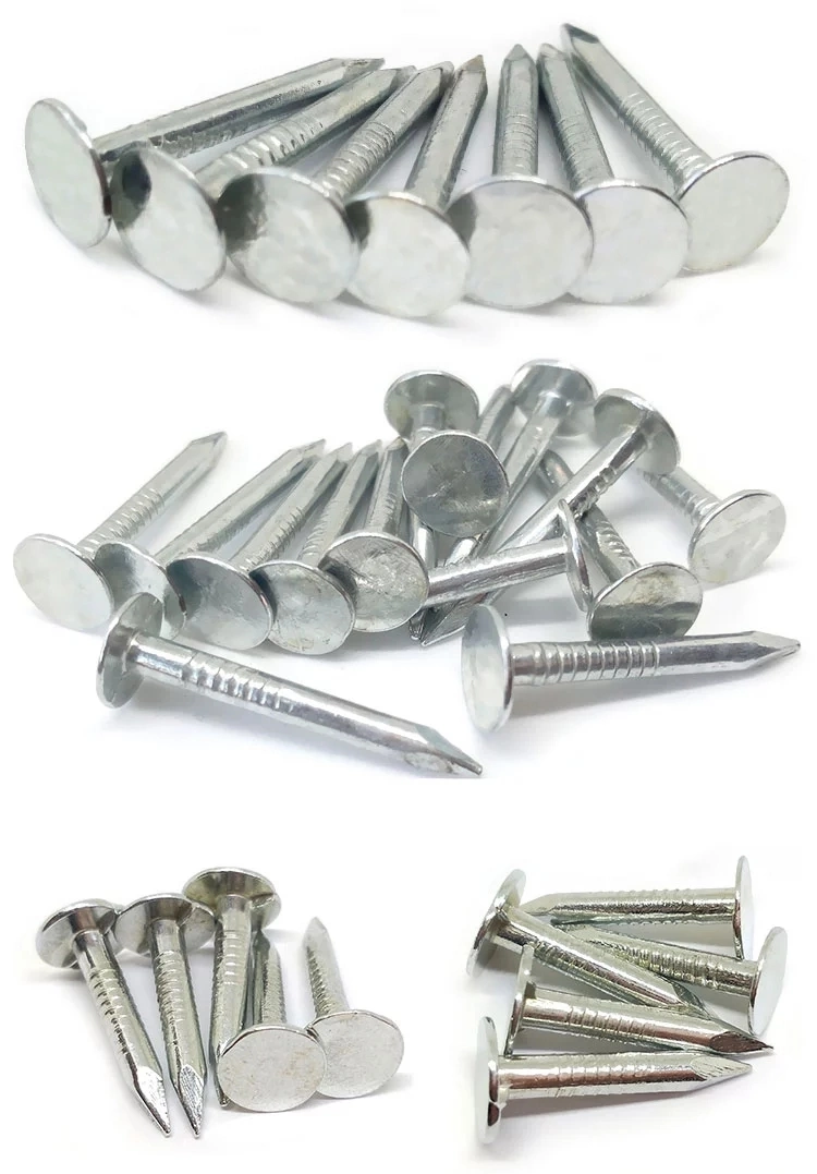 Tianjin Factory Q195 Galvanized Umbrella Head Smooth/Twist Shank Roofing Nails