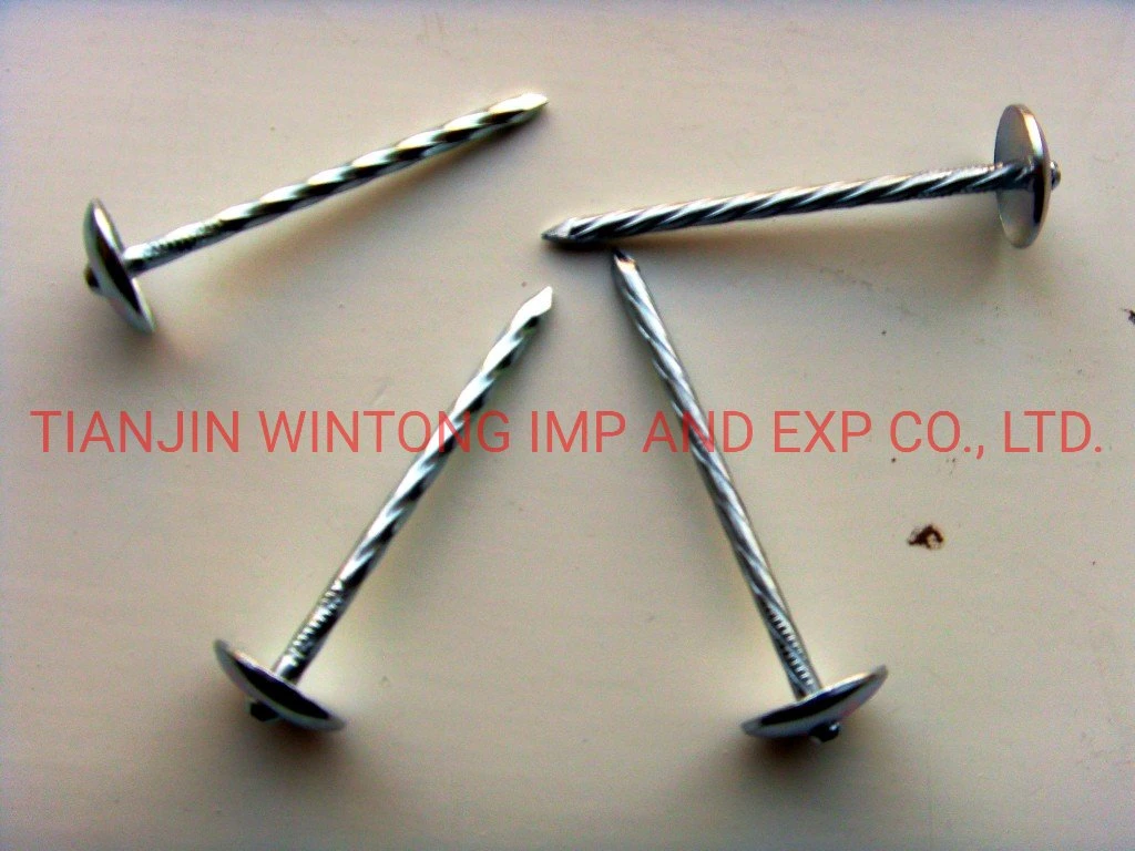 Wholesale Galvanized Smooth/Twisted Shank Q195 Galvanized Roofing Nails