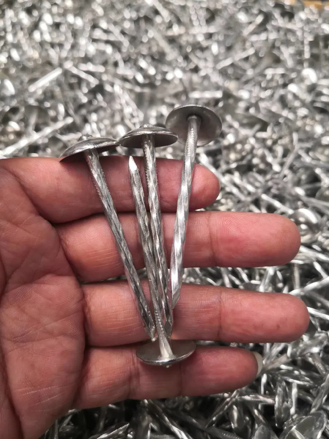 Hot Sale Umbrella Head Twisted Shank Roofing Nail with Washers