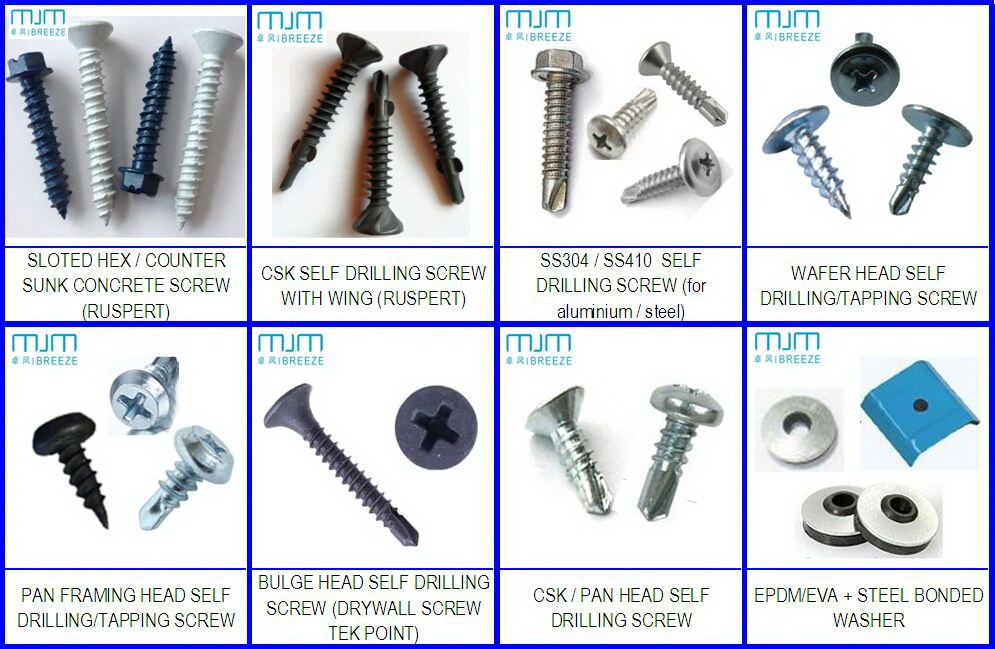 Spoon Point Self Drilling Screw