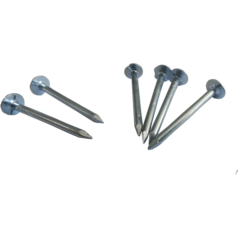 Good Quality Blue Zinc Plated Clout Nail with Competitive Price