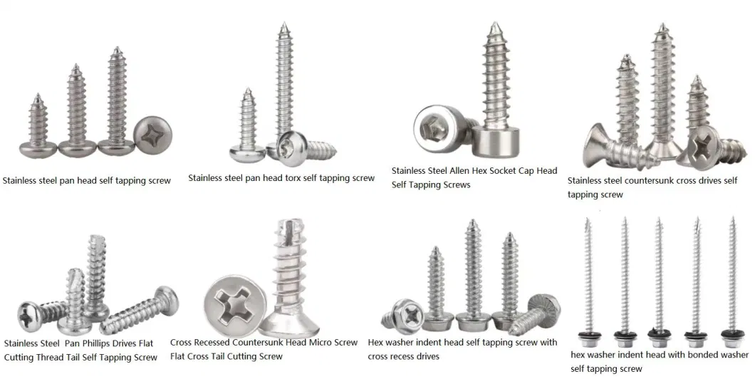 Stainless Steel/Carbon Steel /Self Tapping Drilling Screw/Roofing Screw/Fastener Screw/Hex Wood Timber Screw/Chipboard Drywall Screws / Socket Set Grub Screws