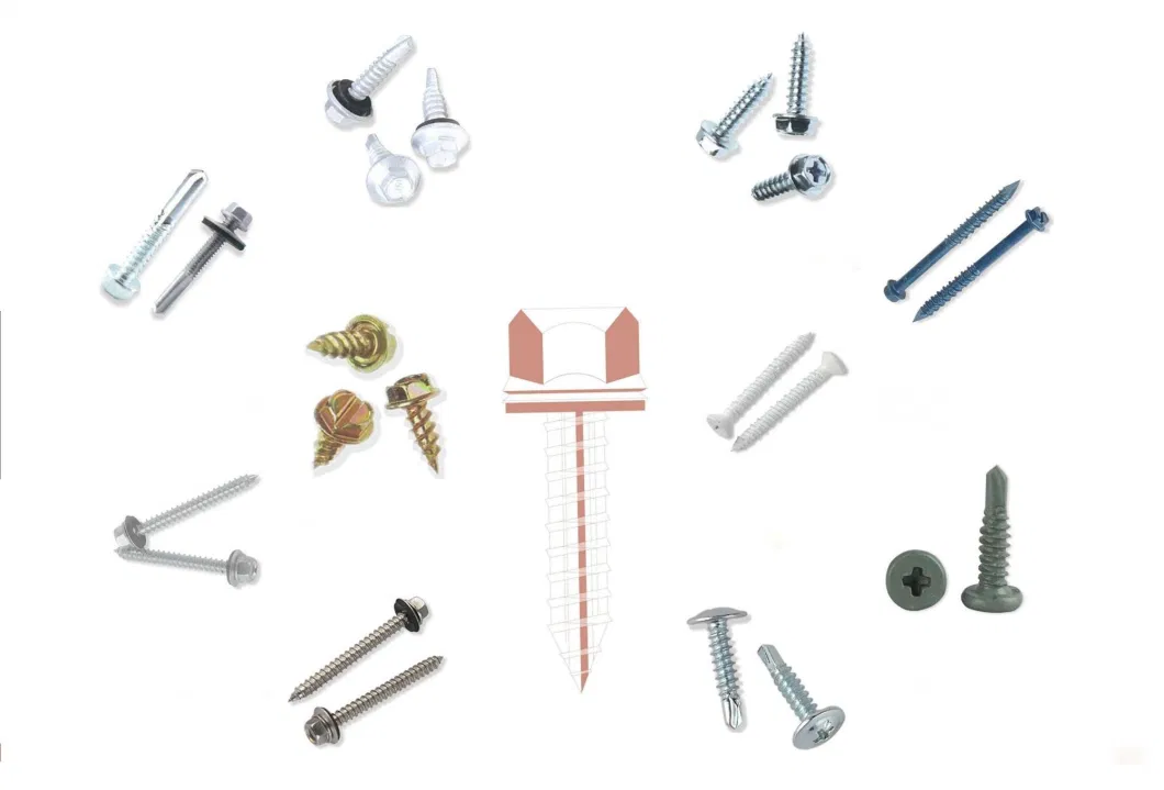 Carbon Steel/Stainless Steel Screw/Self Drilling Screw/Drywall Tapping Screw/Chipboard Screw/Wood Screw/Roofing Screw/Machine Screw/Decking Furniture Screw