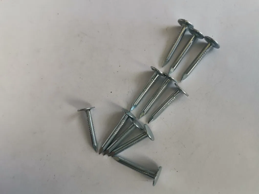 Best Selling Q195/Q235 Galvanized Clout Nail for Building