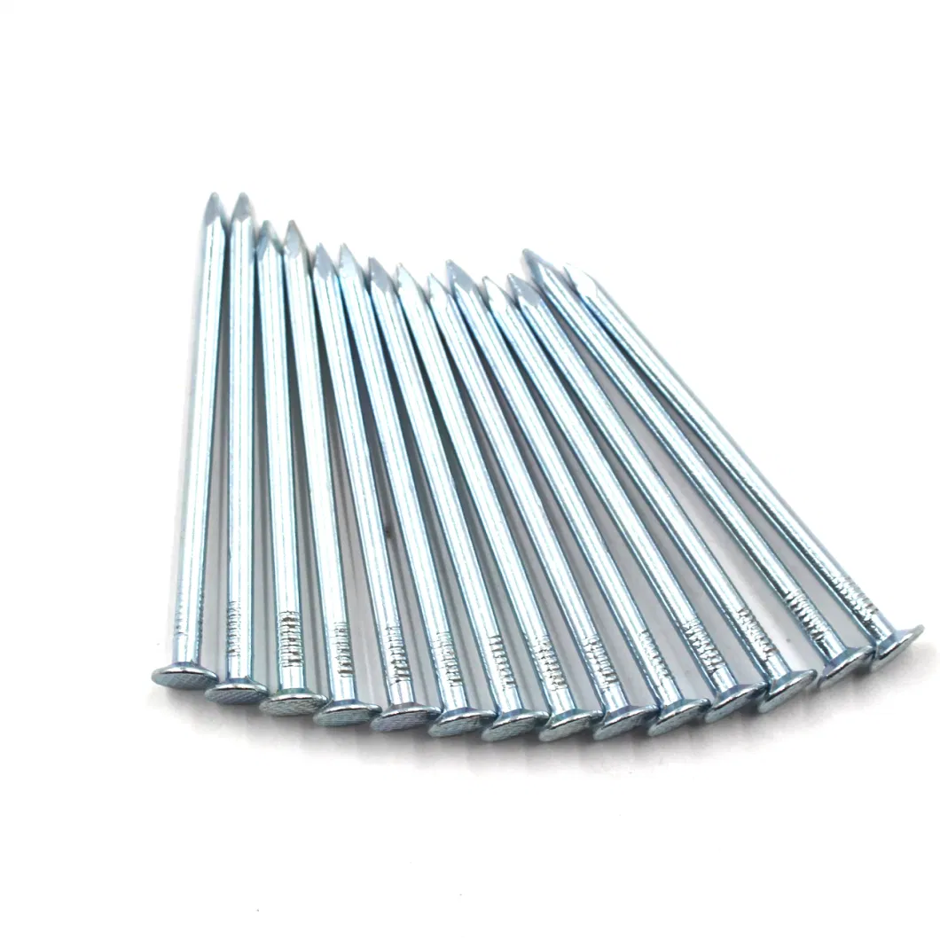 Polished Common Steel Nails