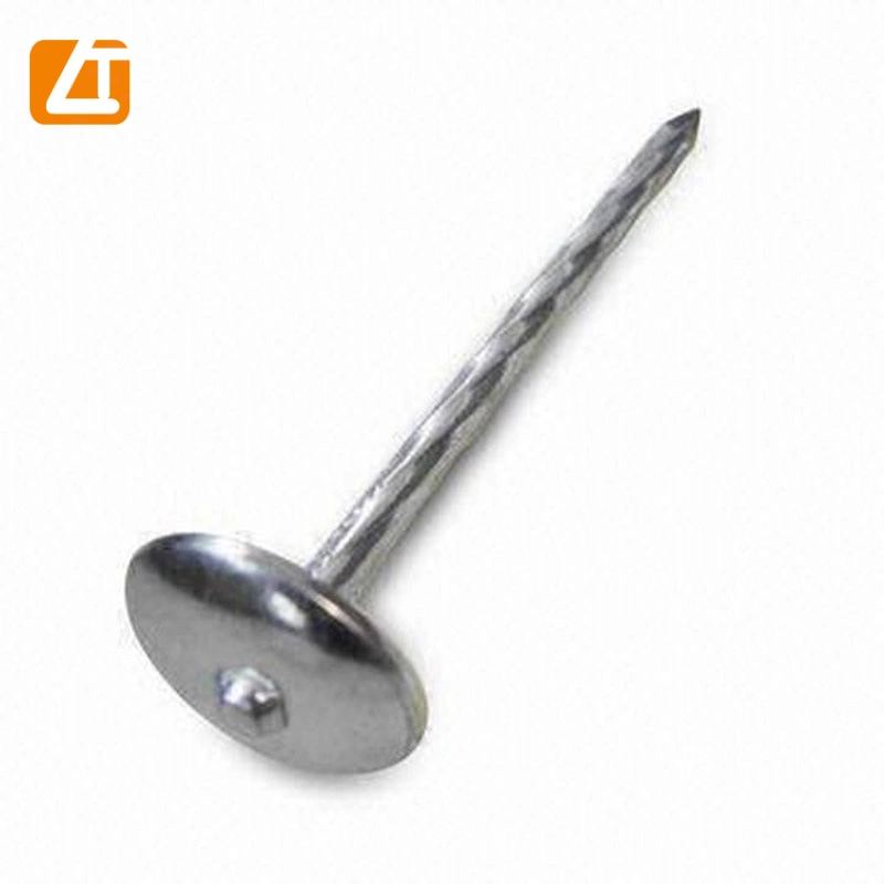 Umbrella Head Roofing Wire Nails Twisted Shank