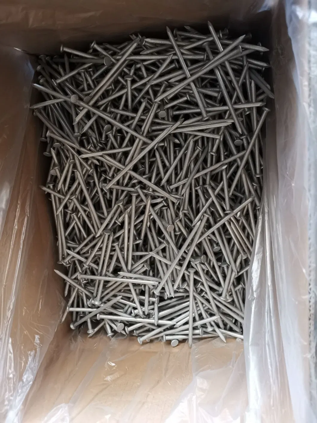 Galvanized Steel Smooth Shank Common Nails