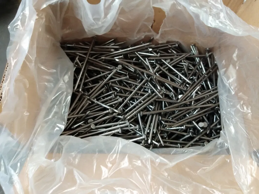 Polished Common Nail Iron Nail for Construction