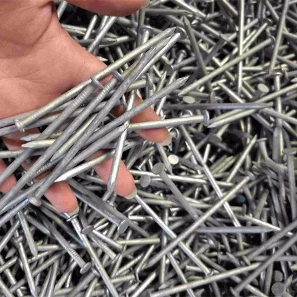 1.5&quot; White Zinc Common Wire Nails for 25kg Carton