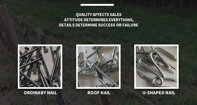 Umbrella Head Roofing Nail with Washer Cheap Price