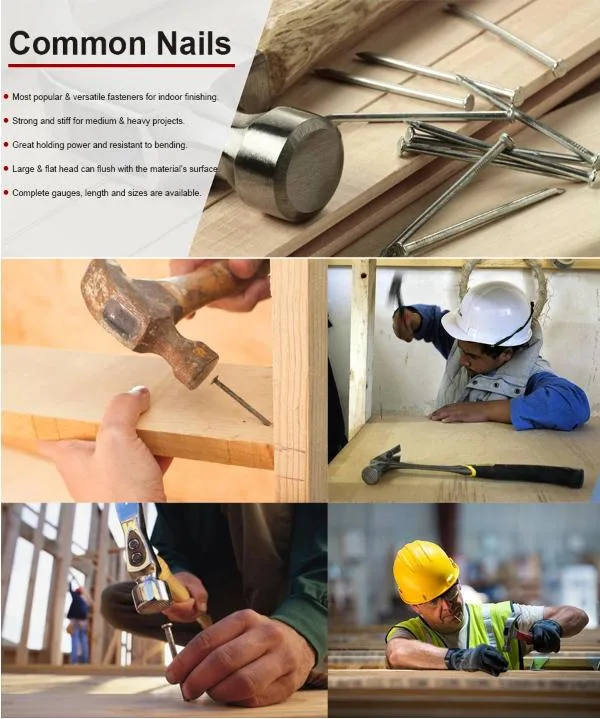 Common Iron Nails for Framing Carpentry and Construction