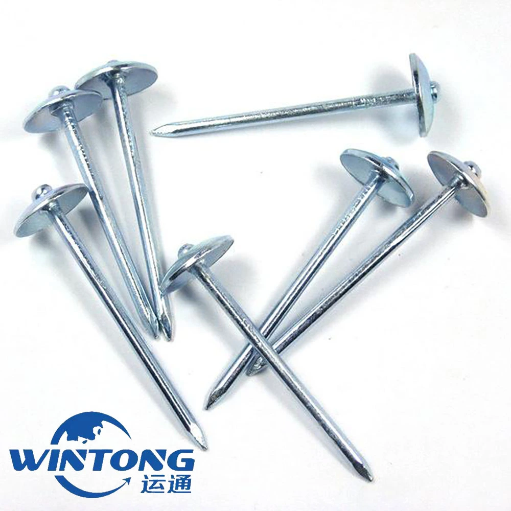 Iron Concrete Stainless Steel Nail China Steel Brad Umbrella Head Roofing Nails Manufacturing