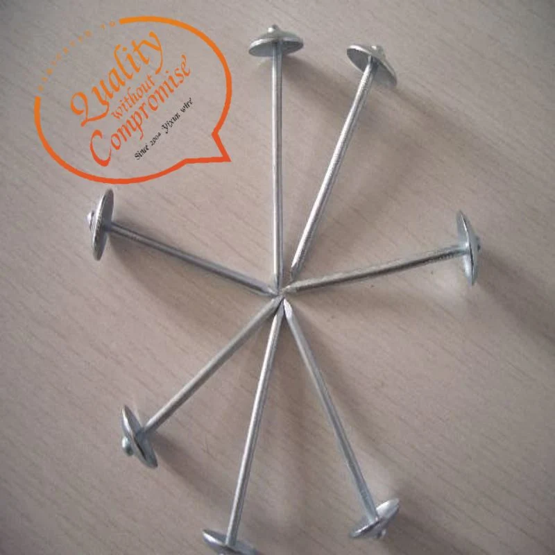 Twisted Shank Umbrella Head Galvanized Roofing Nails