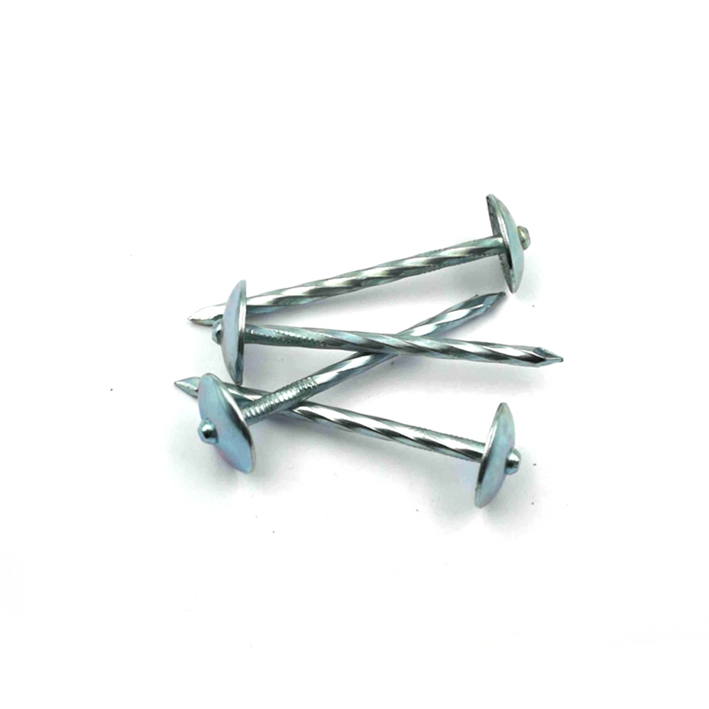 Zinc Coated Umbrella Head China Roofing Nails for Africa Market