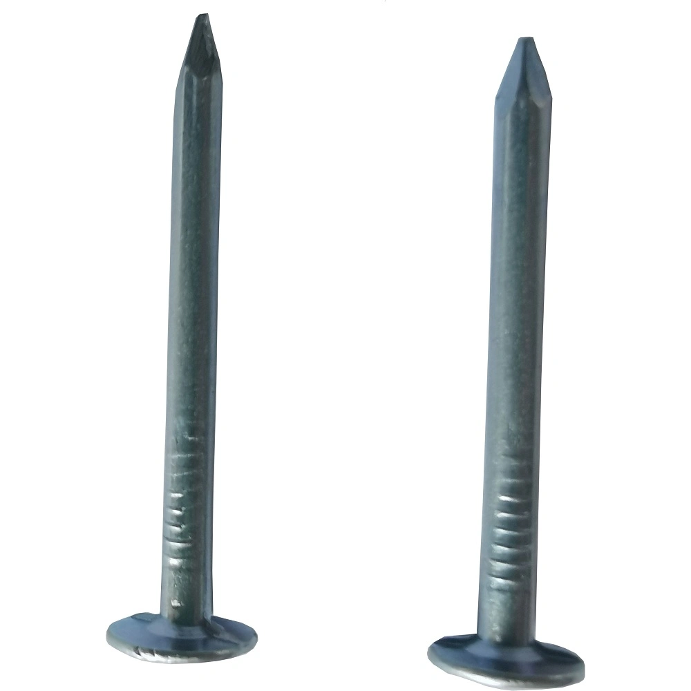 Hot Sale Hardware Factory Direct Zinc Coated Clout Nail for Building