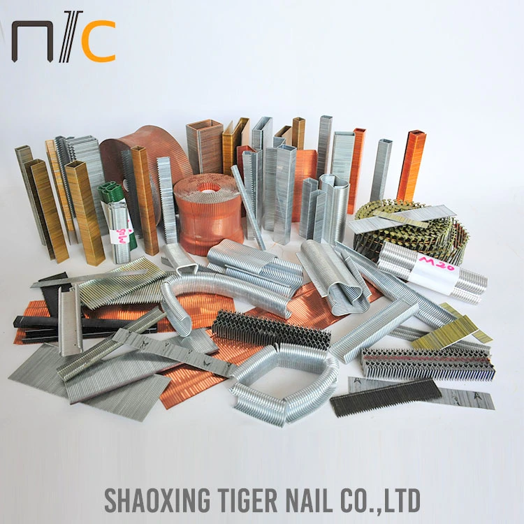 Coil Nail (Smooth; Ring; Screw)