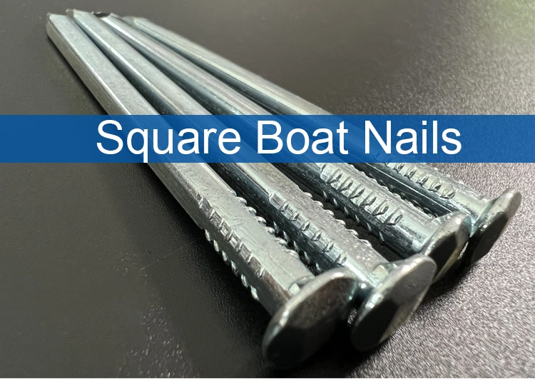 Factory Price Electro Galvanized Q195 Square Shank Boat Nail