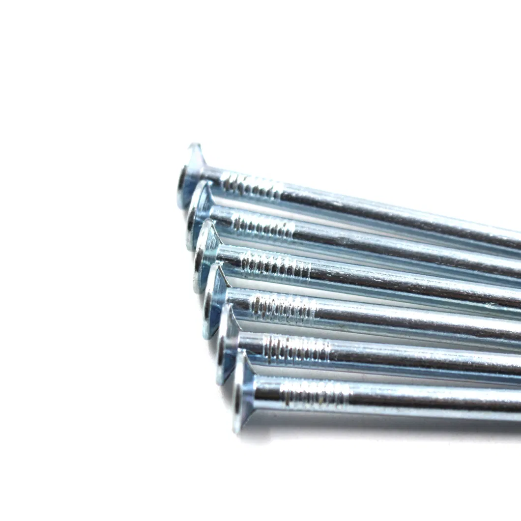 Polished Common Steel Nails