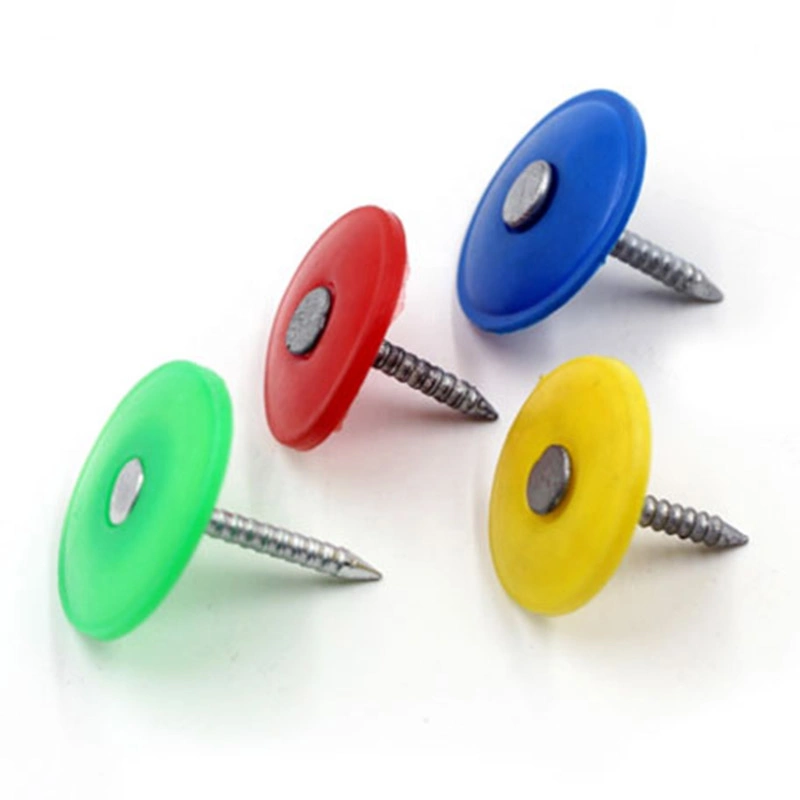 Plastic Cap Low Carbon Steel Ring Shank Nail on Hot Sale