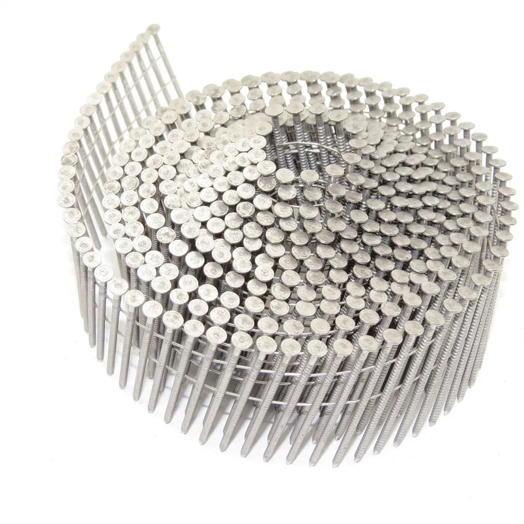 Full Round Head Wire Collated Coil Stainless Steel Nails