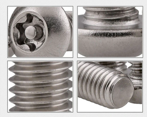 Stainless Steel Screw Torx Flower Pan Head Security Screw