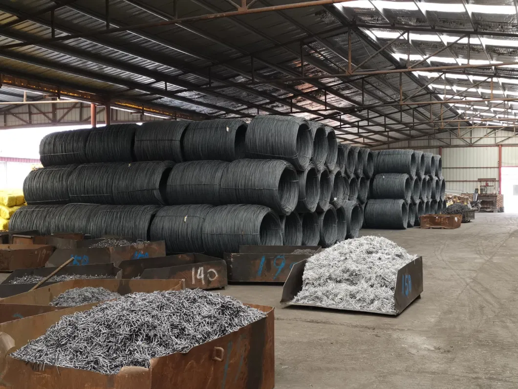 Electro Galvanized Clout Nail for Building with Different Package