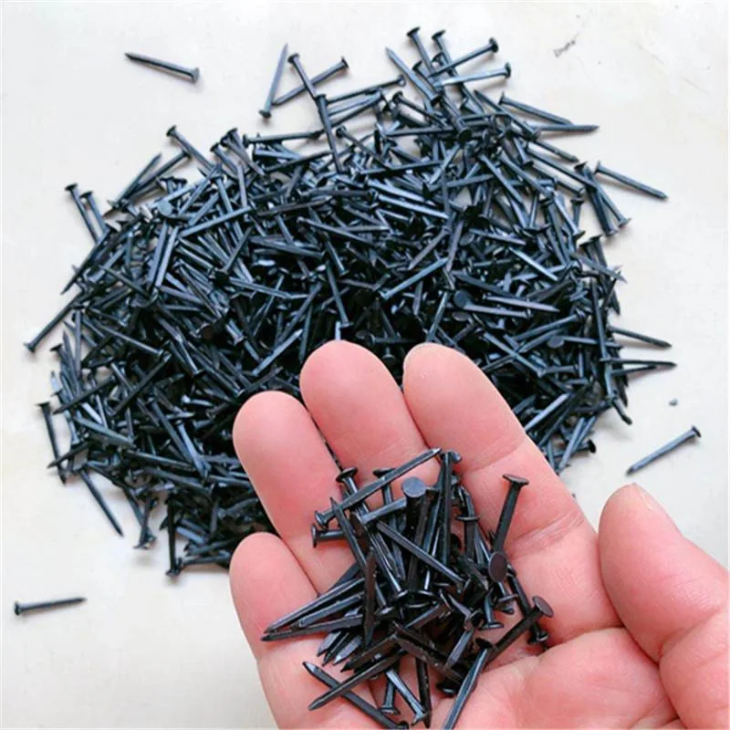 Popular 5/8&quot; 3/4&quot; 1/2&quot; 1&quot; Shoe Tack Nails with Good Quality