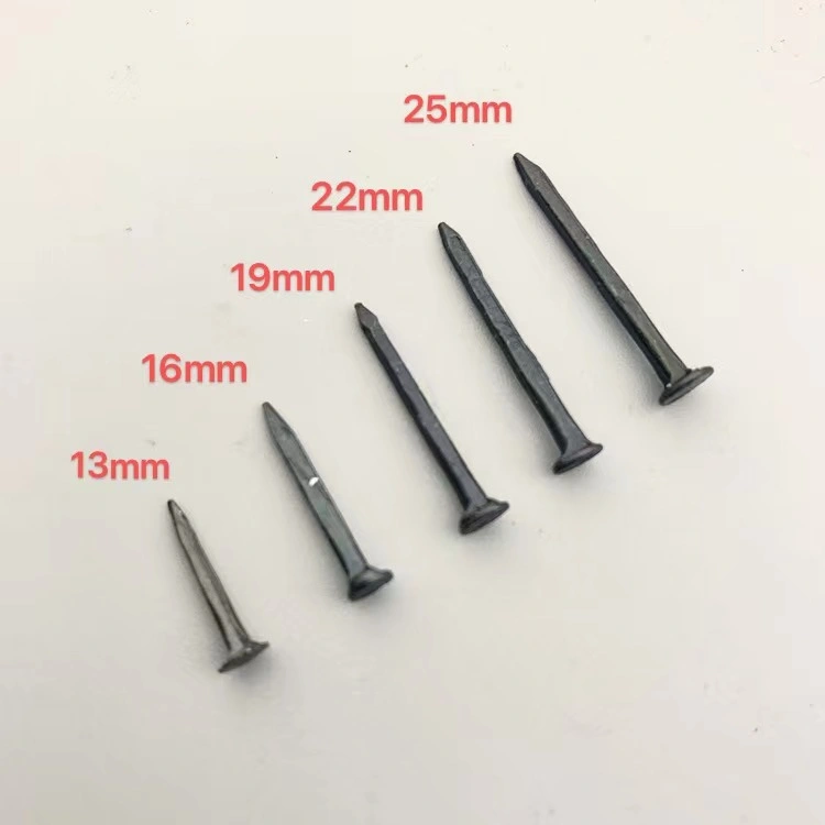 Wholesale Hardware Stainless Steel Screws and Fastener 1/2&quot;, 3/4&quot;, 5/8&quot;, 1&quot; Steel Round Head Shoe Tacks Nails for Shoes