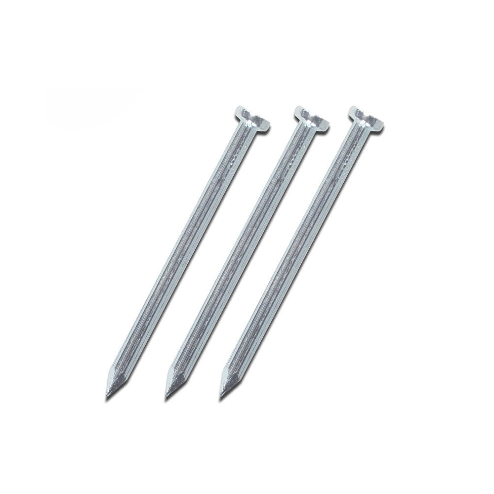 Galvanized Twisted Shank Concrete Nails with High Quality