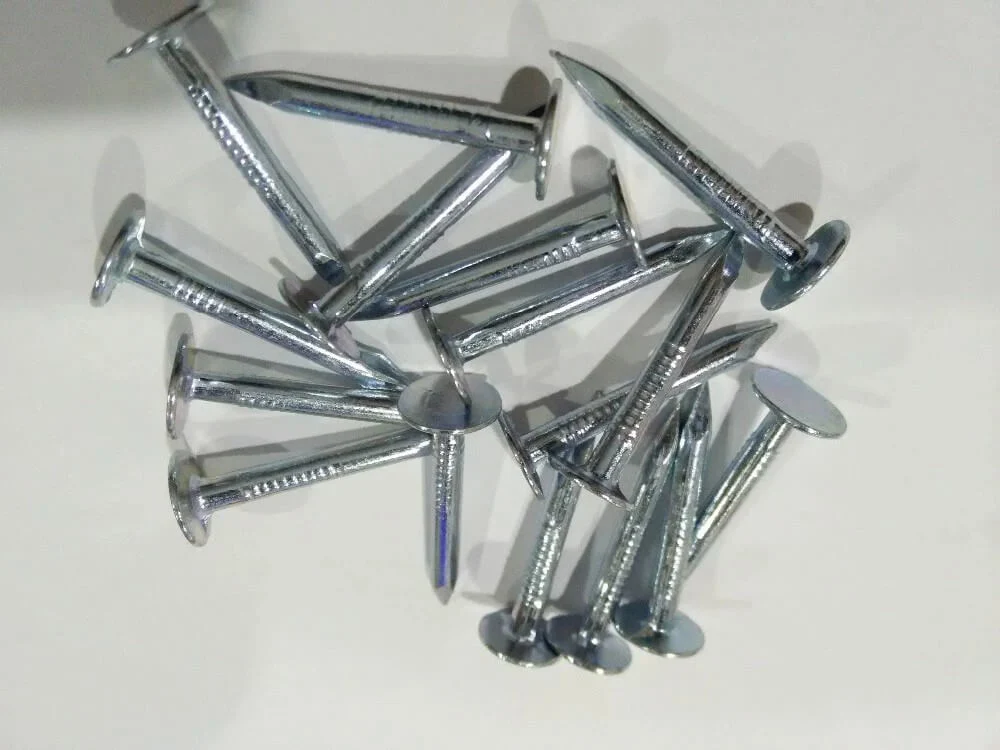 Factory Galvanized Clout Nails Felt Nails Roofing Nails Ring Shank Clout Nails