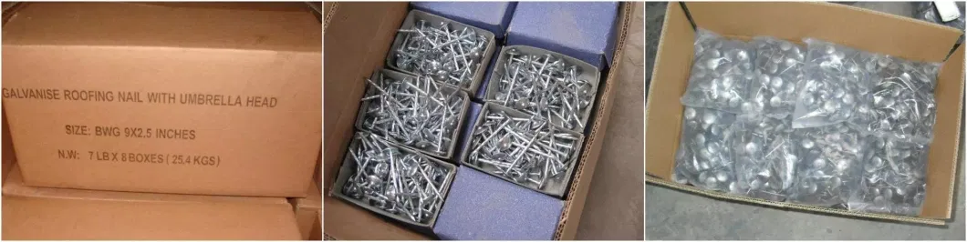 Tianjin Factory Q195 Galvanized Umbrella Head Smooth/Twist Shank Roofing Nails