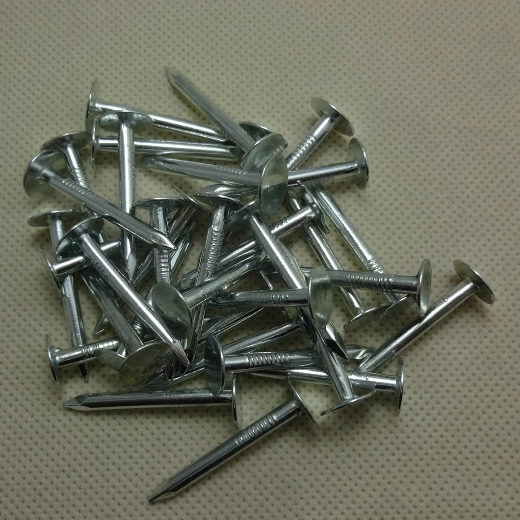 Waterproof Roof/Electric Galvanized/Round Head/Ring Diamond Tip/Linoleum Nails